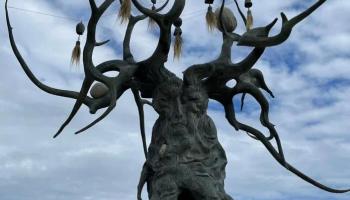 https://trips-photo.sletat.ru/Tours/01818f51-67c3-44de-aa93-0be17f9a50e5.jpg