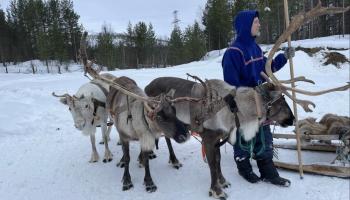 https://trips-photo.sletat.ru/Tours/026575b5-044f-4c2b-970d-4c297e5135d9.jpg