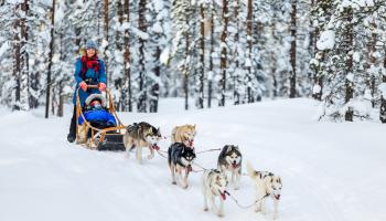 https://trips-photo.sletat.ru/Tours/02a9d0b8-7dcf-489f-b1d0-61f8dac8c229.jpg