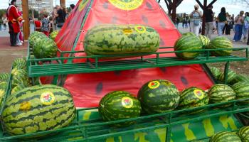 https://trips-photo.sletat.ru/Tours/04611498-0f3b-4241-a46e-6eb83136f058.jpg