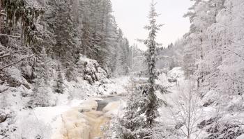 https://trips-photo.sletat.ru/Tours/04b86acd-0216-4f55-bb5d-ab5f331b3c04.jpg