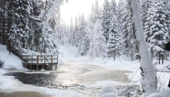 https://trips-photo.sletat.ru/Tours/052a79b7-e73e-4eee-8d58-b57a268eb7ea.jpg