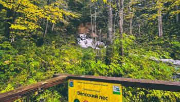 https://trips-photo.sletat.ru/Tours/0db38416-6335-4d2a-8df3-f33ee21df7f0.jpg?response-content-type=image/jpeg
