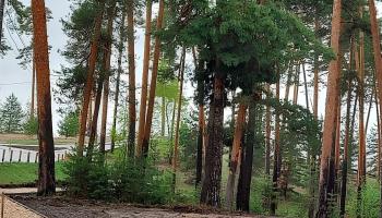 https://trips-photo.sletat.ru/Tours/0eab6fca-2639-4f01-b235-19d6d992abcb.jpg