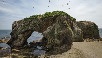 https://trips-photo.sletat.ru/Tours/147f8f30-747f-42f2-af93-ccd53d665014.jpg