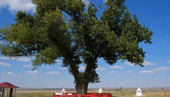 https://trips-photo.sletat.ru/Tours/1692b28d-1db3-4b8e-a247-94849af86772.jpg