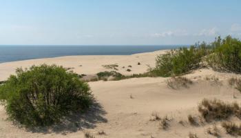https://trips-photo.sletat.ru/Tours/16afdca1-f0a8-4010-8648-127d7320b78a.jpg