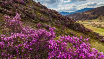 https://trips-photo.sletat.ru/Tours/179c66ff-798e-4807-a3d7-45fbe75db2bc.jpg