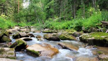 https://trips-photo.sletat.ru/Tours/18c19398-21cb-4f7e-bcc9-3afecf0bfac7.jpg