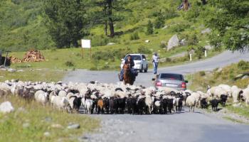 https://trips-photo.sletat.ru/Tours/21610c6f-6869-4fcb-b339-128a6bdacc99.jpg