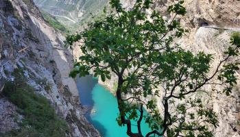 https://trips-photo.sletat.ru/Tours/26ced2ac-79da-4a3e-9c7e-29e49b85f1ef.jpg