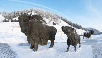 https://trips-photo.sletat.ru/Tours/29a96ff7-d22f-4c01-88f6-6cbc72b293c1.jpg?response-content-type=image/jpeg