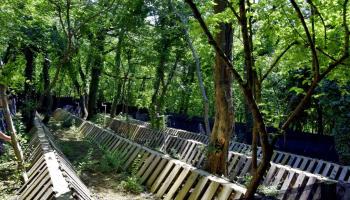 https://trips-photo.sletat.ru/Tours/2bb70814-76c2-4766-9013-cf9137e68d1c.jpg