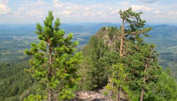 https://trips-photo.sletat.ru/Tours/2e5c5ee5-1fa2-4274-909a-9b865c59b370.jpg