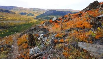 https://trips-photo.sletat.ru/Tours/2fb7d2bd-a688-4213-96c4-797591e0834e.jpg