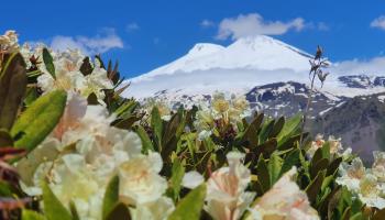 https://trips-photo.sletat.ru/Tours/304fa3b1-70fc-4acb-84e4-e1f82205b3d9.jpg