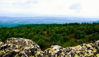 https://trips-photo.sletat.ru/Tours/32a09cf0-3422-4da2-83d7-5d9f8e87f1a0.jpg?response-content-type=image/jpeg