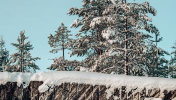 https://trips-photo.sletat.ru/Tours/3e185207-c2ce-477f-a105-103b2d918a4e.jpg