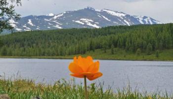 https://trips-photo.sletat.ru/Tours/3fb83a6c-1178-4ca8-afeb-f47c9dc1823b.jpg