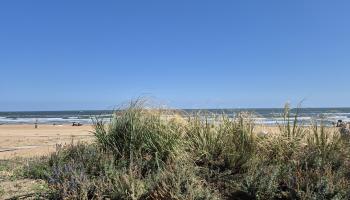https://trips-photo.sletat.ru/Tours/3fcd27de-5714-4bd9-bae0-e173c2f62175.jpg
