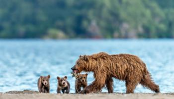 https://trips-photo.sletat.ru/Tours/432d3f31-8481-4482-b9c8-961dbb43439b.jpg