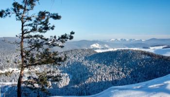 https://trips-photo.sletat.ru/Tours/43e51b92-cb13-461c-93dd-a7767f0d1af5.jpg