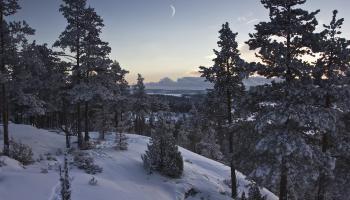 https://trips-photo.sletat.ru/Tours/4677f30f-c8f8-450a-a1d2-460218969ee7.jpg