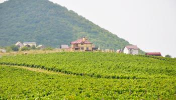https://trips-photo.sletat.ru/Tours/478230f4-d857-44ff-a950-827d94deb1e6.jpg