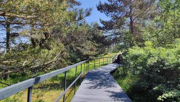 https://trips-photo.sletat.ru/Tours/49d369fc-a27f-4571-b737-f2bc18ca60da.jpg