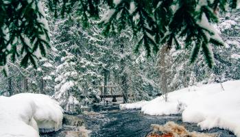 https://trips-photo.sletat.ru/Tours/4bbb54ff-6b0e-444b-846e-dc9836509bdc.jpg