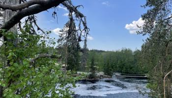 https://trips-photo.sletat.ru/Tours/4e3e0f85-a4dc-4215-a09d-4292f66f8647.jpg