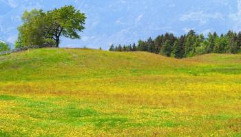 https://trips-photo.sletat.ru/Tours/4f7ed414-b402-418c-8b66-5a4ab60683c5.jpg
