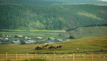 https://trips-photo.sletat.ru/Tours/54efcbb1-bdcb-43e8-aeaa-a39cf32f9054.jpg?response-content-type=image/jpeg