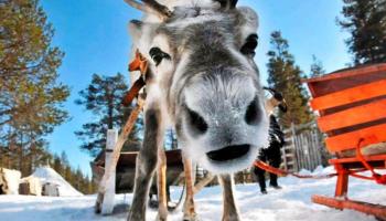https://trips-photo.sletat.ru/Tours/58dafa08-5435-41e0-99f0-43f9ec5cb79d.jpg?response-content-type=image/jpeg