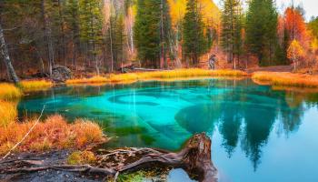 https://trips-photo.sletat.ru/Tours/599619fd-1b8d-4ea3-b5bf-7781c23c76bf.jpg