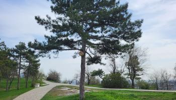 https://trips-photo.sletat.ru/Tours/5cc0da81-d965-4f58-87e4-fd03626c17e4.jpg