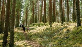 https://trips-photo.sletat.ru/Tours/6331480c-7737-4efa-ad94-495043bd473c.jpg