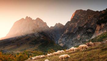 https://trips-photo.sletat.ru/Tours/691add68-bf75-43fc-8631-a1411b6cf809.jpg