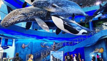 https://trips-photo.sletat.ru/Tours/6d93fd3a-d641-459f-8100-48370a5191b1.jpg