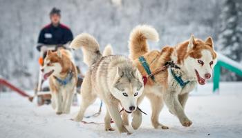 https://trips-photo.sletat.ru/Tours/72df6d6f-95bb-477c-8fb6-d358c1ec83fe.jpg