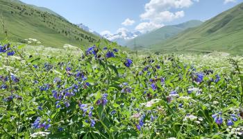 https://trips-photo.sletat.ru/Tours/782abac6-a26b-45a2-8eec-2f6a0f539879.jpg