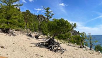 https://trips-photo.sletat.ru/Tours/783a15a2-374f-4151-ad47-681b40b0cc6b.jpg?response-content-type=image/jpeg