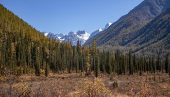https://trips-photo.sletat.ru/Tours/7c67290e-ee1a-4ba7-9508-0d7baa5e5895.jpg