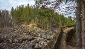 https://trips-photo.sletat.ru/Tours/7fcd59df-0459-4302-96f6-9a9648d958b8.jpg?response-content-type=image/jpeg