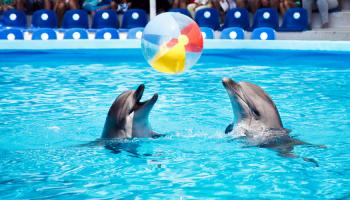 https://trips-photo.sletat.ru/Tours/81679efd-0130-40c6-9ad3-9f10f7f1e98e.jpg