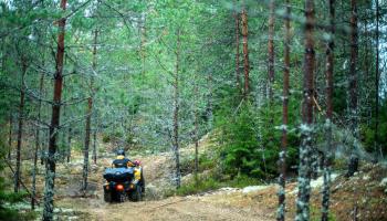 https://trips-photo.sletat.ru/Tours/816aa480-17c4-4094-967c-c79654d17560.jpg