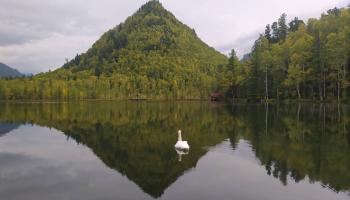 https://trips-photo.sletat.ru/Tours/826db047-0be5-4f43-843f-a073ff081b8f.jpg?response-content-type=image/jpeg