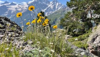 https://trips-photo.sletat.ru/Tours/82e41913-686f-4d47-b87f-a28966656ce1.jpg