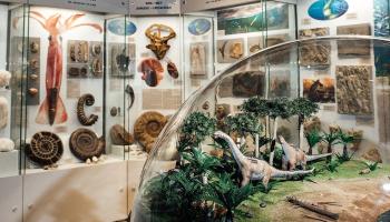 https://trips-photo.sletat.ru/Tours/83e01cf5-d66e-4af8-80b9-559dbd2b08a1.jpg