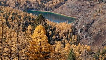 https://trips-photo.sletat.ru/Tours/8412071b-d7a3-40d1-ba66-ed2269c1e172.jpg?response-content-type=image/jpeg